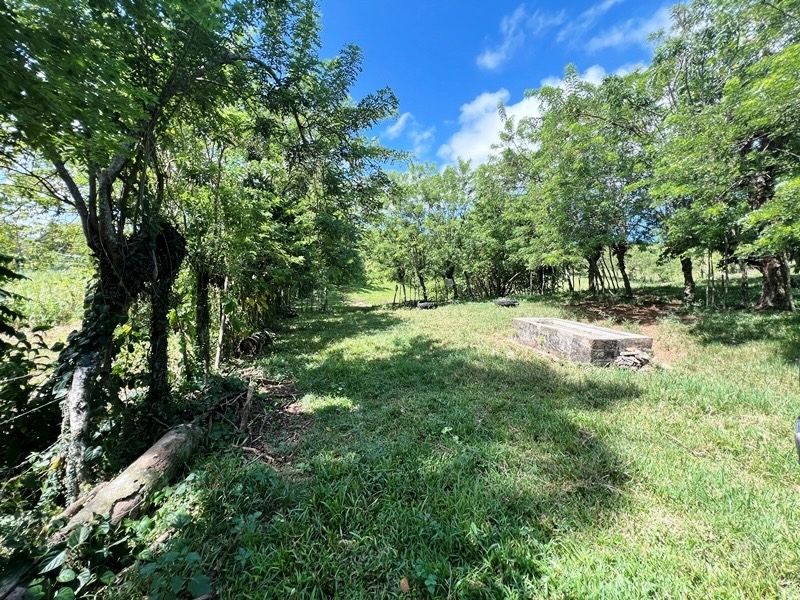Участок в Кабрера, Доминиканская республика, 83 000м2 - стоимость 373&nbsp;600$ - Ref: 80041 фото 2