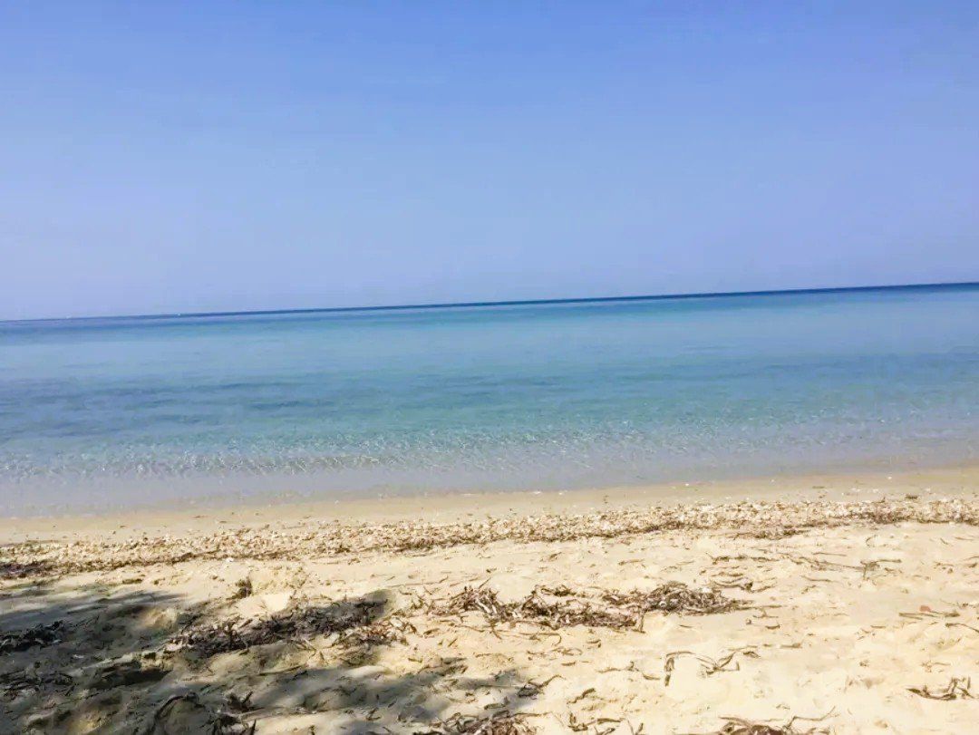 Коттедж в Кассандре, Греция, 142м2 - стоимость 795&nbsp;000€ - Ref: 80082 фото 2