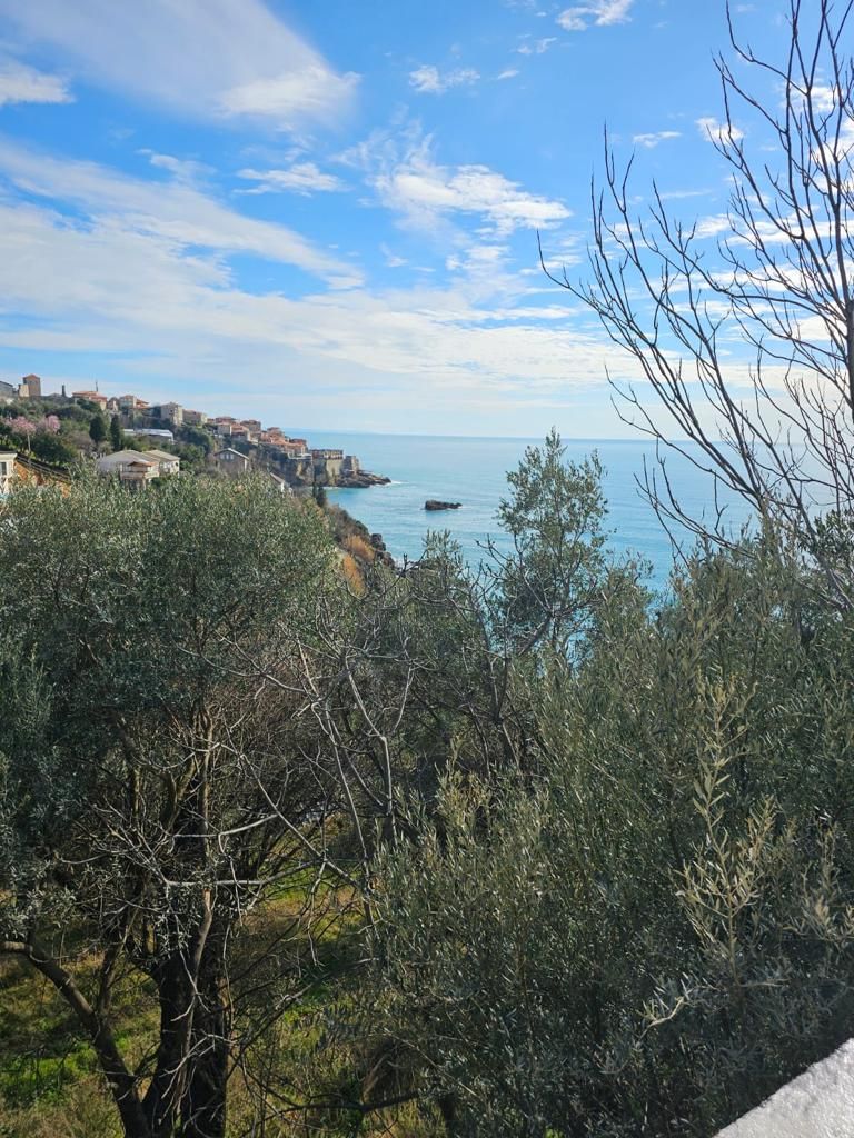 Вилла в Ульцине, Черногория, 205м2 - стоимость 168&nbsp;000€ - Ref: 80422 фото 5