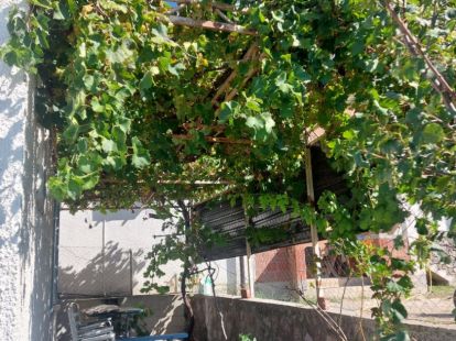 Коттедж в Сутоморе, Черногория, 50м2 - стоимость 70&nbsp;000€ - Ref: 80428 фото 6