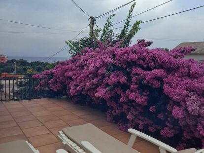 Вилла в Утехе, Черногория, 120м2 - стоимость 170&nbsp;000€ - Ref: 80554 фото 8