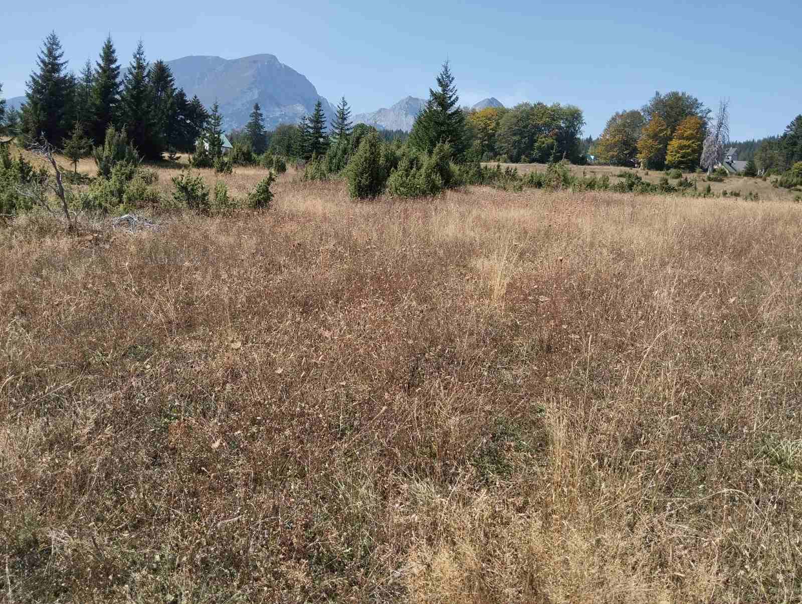 Участок в Жабляке, Черногория, 326м2 - стоимость 160€ - Ref: 80566 фото 1
