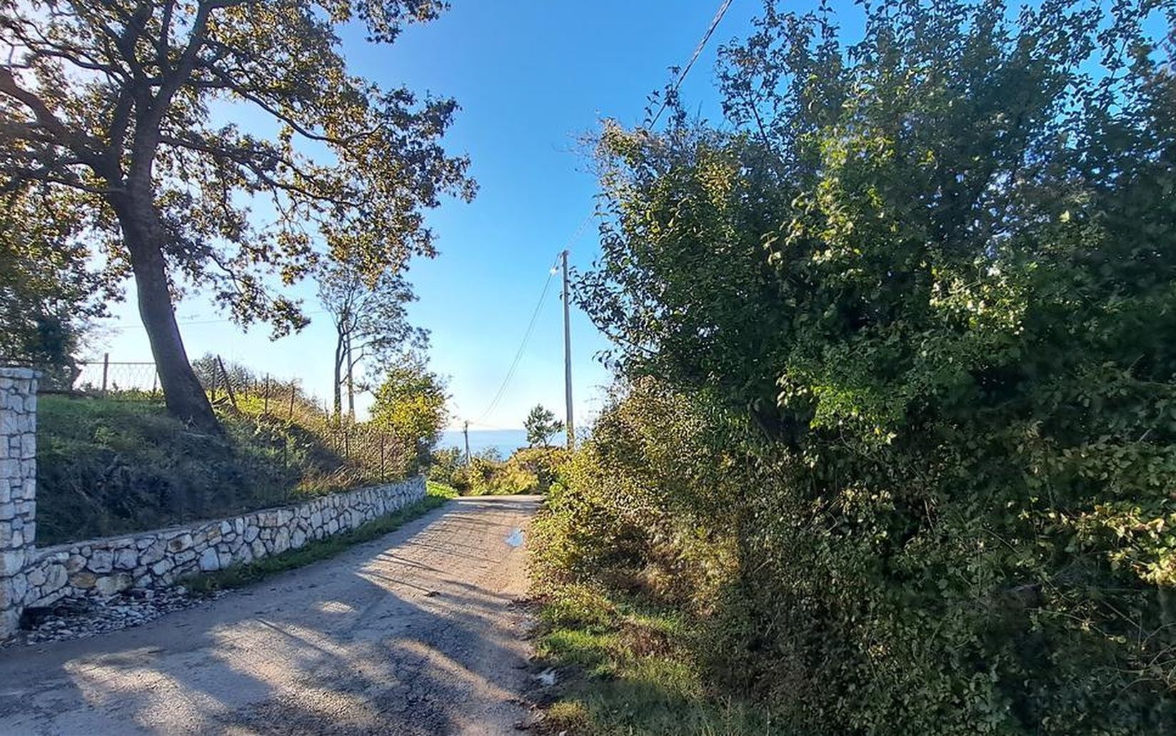 Участок в Баре, Черногория, 1 830м2 - стоимость 125&nbsp;000€ - Ref: 80580 фото 3