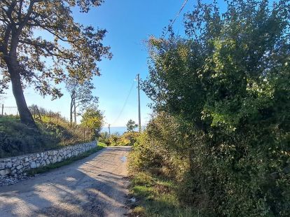 Участок в Баре, Черногория, 1 830м2 - стоимость 125&nbsp;000€ - Ref: 80580 фото 3