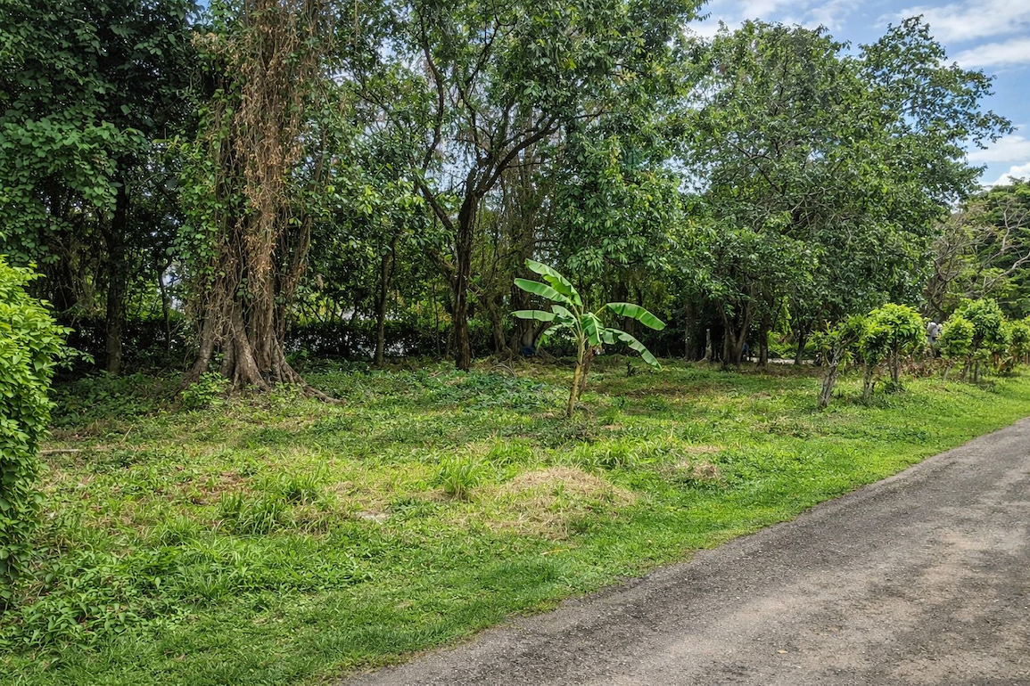 Участок в Кабарете, Доминиканская республика, 1 142м2 - стоимость 285&nbsp;655$ - Ref: 80587 фото 1
