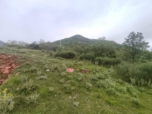Участок в Баре, Черногория, 2 900м2 - стоимость 400&nbsp;000€ - Ref: 80599 фото 3