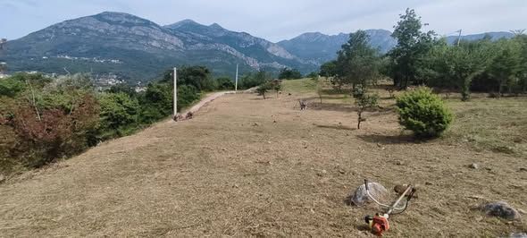 Участок в Баре, Черногория, 2 900м2 - стоимость 400&nbsp;000€ - Ref: 80599 фото 5