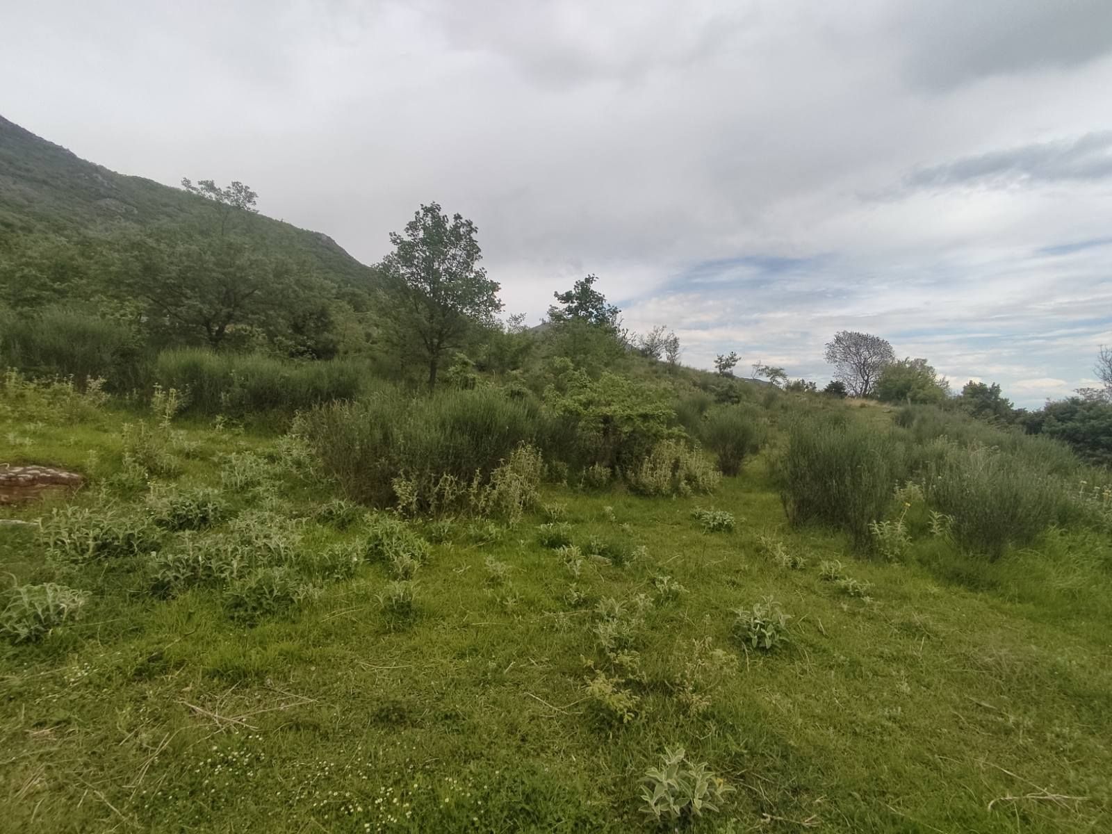 Участок в Баре, Черногория, 2 900м2 - стоимость 400&nbsp;000€ - Ref: 80599 фото 7