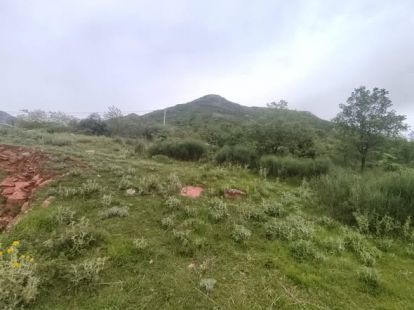 Участок в Баре, Черногория, 2 900м2 - стоимость 400&nbsp;000€ - Ref: 80599 фото 3