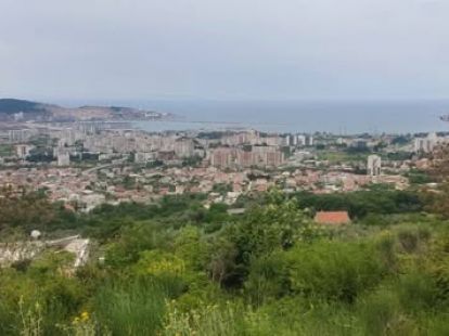 Участок в Баре, Черногория, 2 900м2 - стоимость 400&nbsp;000€ - Ref: 80599 фото 4