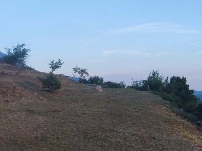 Участок в Баре, Черногория, 2 900м2 - стоимость 400&nbsp;000€ - Ref: 80599 фото 6