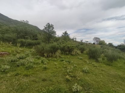 Участок в Баре, Черногория, 2 900м2 - стоимость 400&nbsp;000€ - Ref: 80599 фото 7