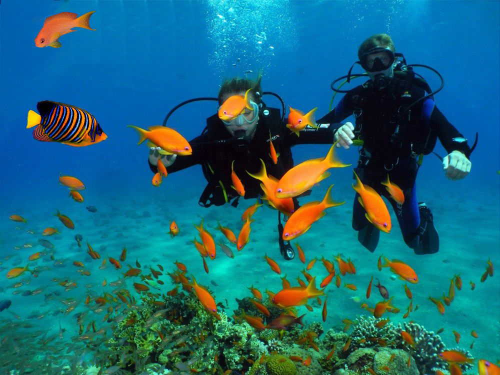 Выбор тура для отдыха всей семьей фото 5