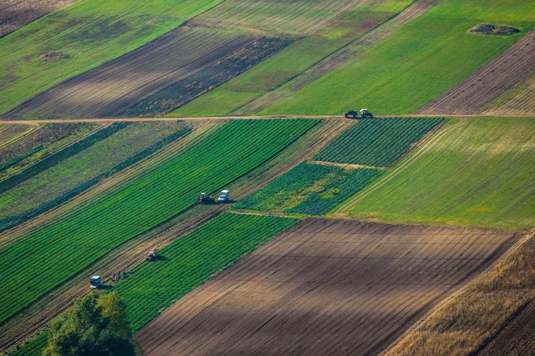 Процесс изменения статуса сельскохозяйственных земель в Болгарии фото 4