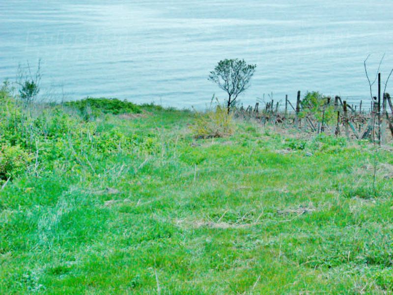 Выгодное приобретение и удачное вложение средств – земля в Варне фото 3