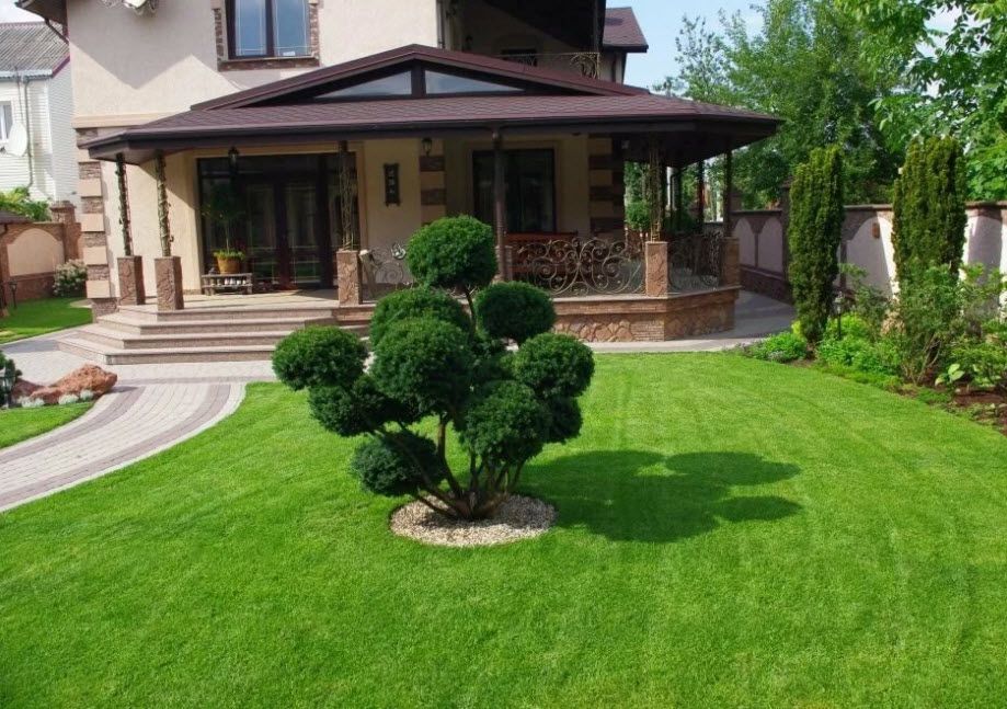 Услуги ландшафтного дизайнера в Барселоне - Ref: 3 фото 25