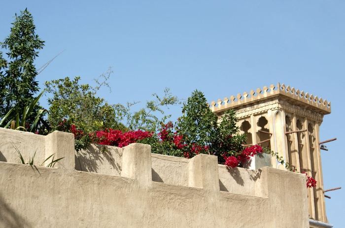 Район Аль Бастакия Дубай в Дубае - Ref: 999 фото 5