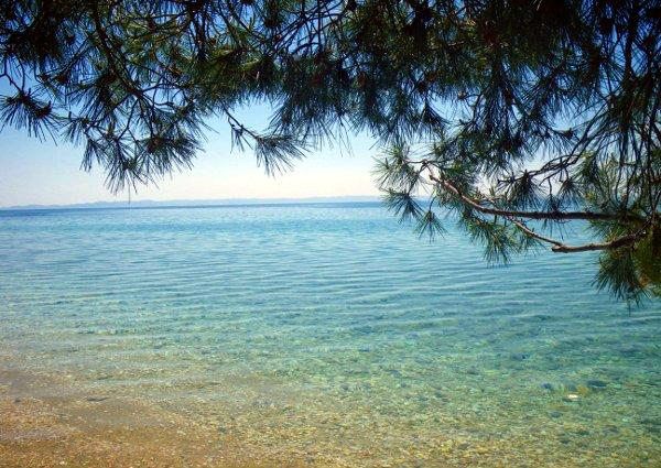 Виллу снять с  бассейном у моря в Ситонии на Ситонии - 200€ - Ref: 4846 фото 2