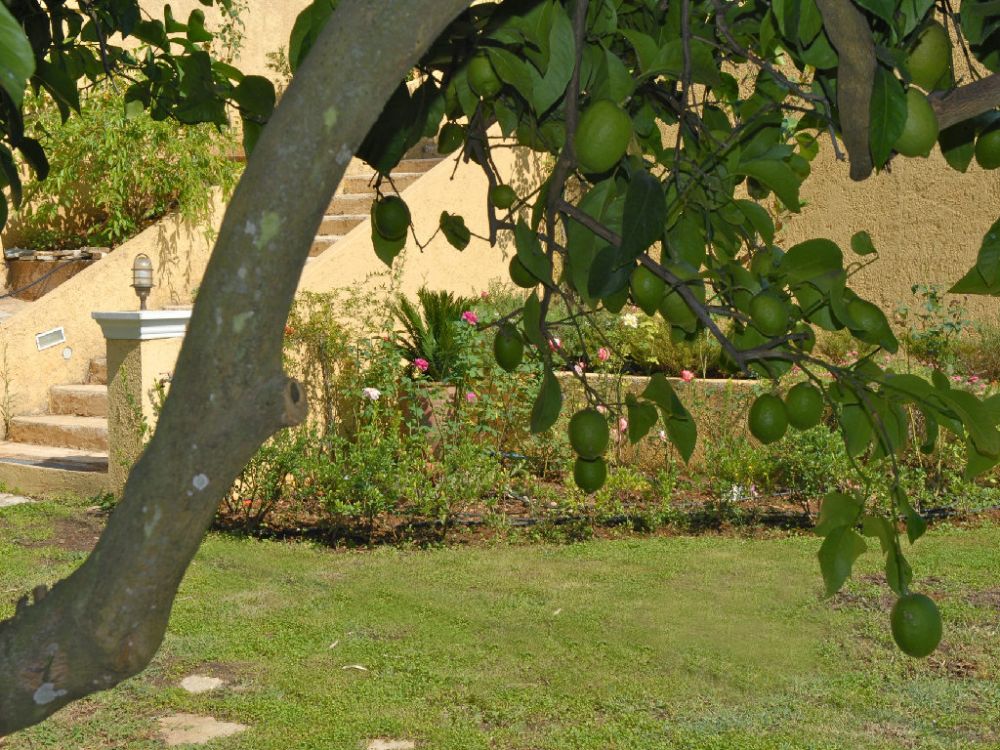 Сдается вилла 100 метров от пляжа на Корфу на Корфу - 195€ - Ref: 4671 фото 14