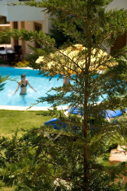 Аренда вилла с бассейном в Родосе - 240€ - Ref: 4664 фото 14