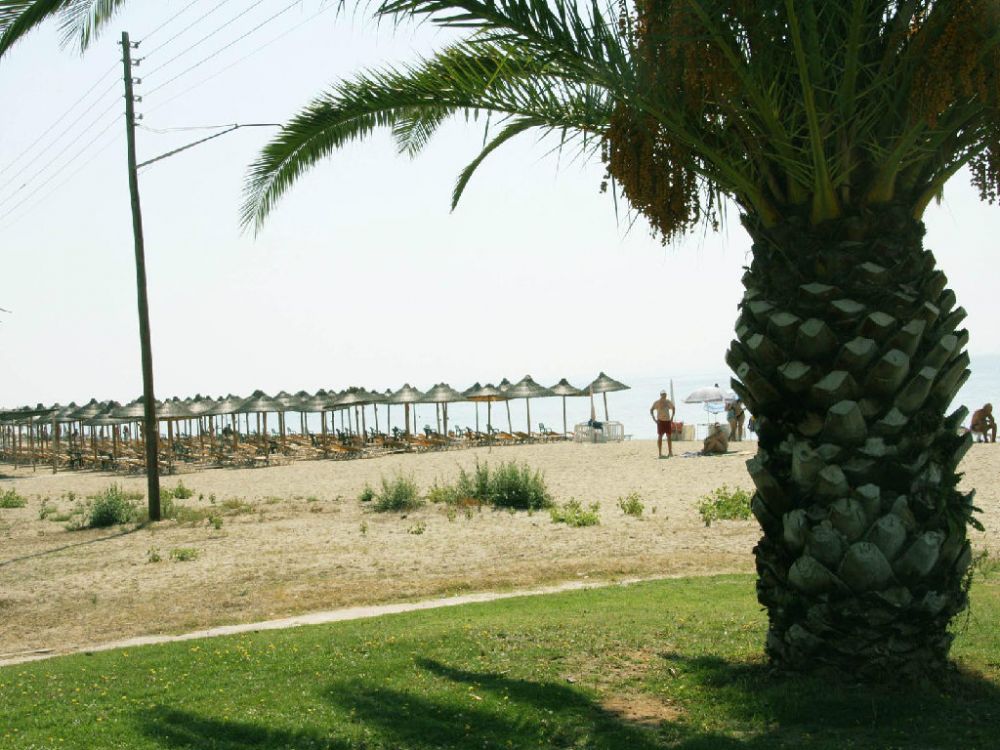 Флоринка в Кассандре - 50€ - Ref: 4471 фото 12