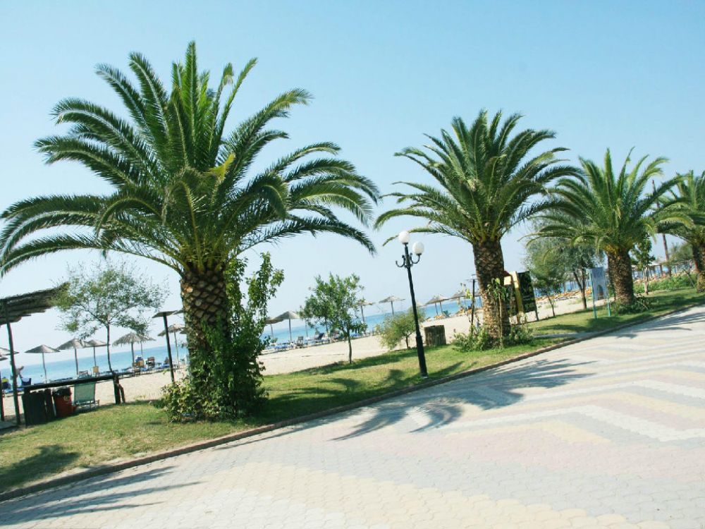Флоринка в Кассандре - 50€ - Ref: 4471 фото 14