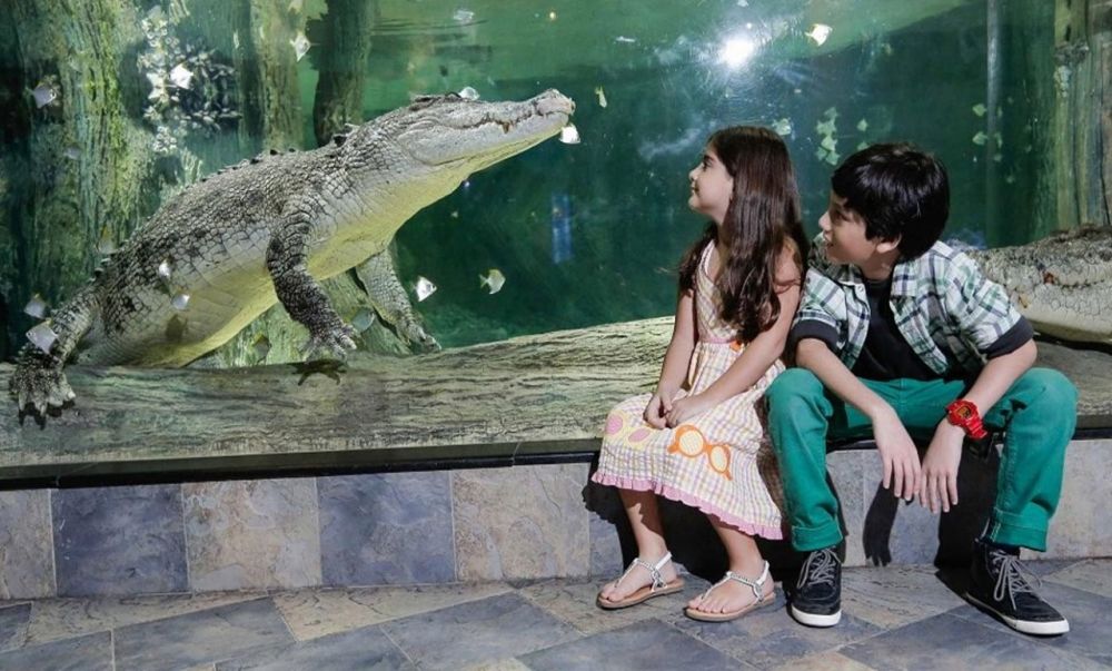 Бидеты в Дубайский аквариум и подводный зоопарк в Дубае - 150Dh - Ref: 4904 фото 5