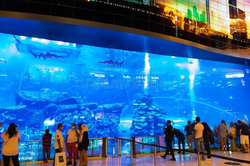 Бидеты в Дубайский аквариум и подводный зоопарк в Дубае - 150Dh - Ref: 4904 фото 8