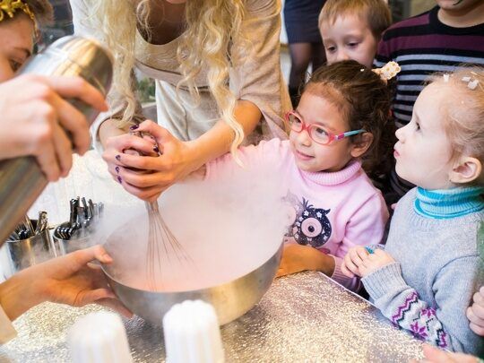 Организация крио-шоу в Дубае - 1800Dh - Ref: 5185 фото 4