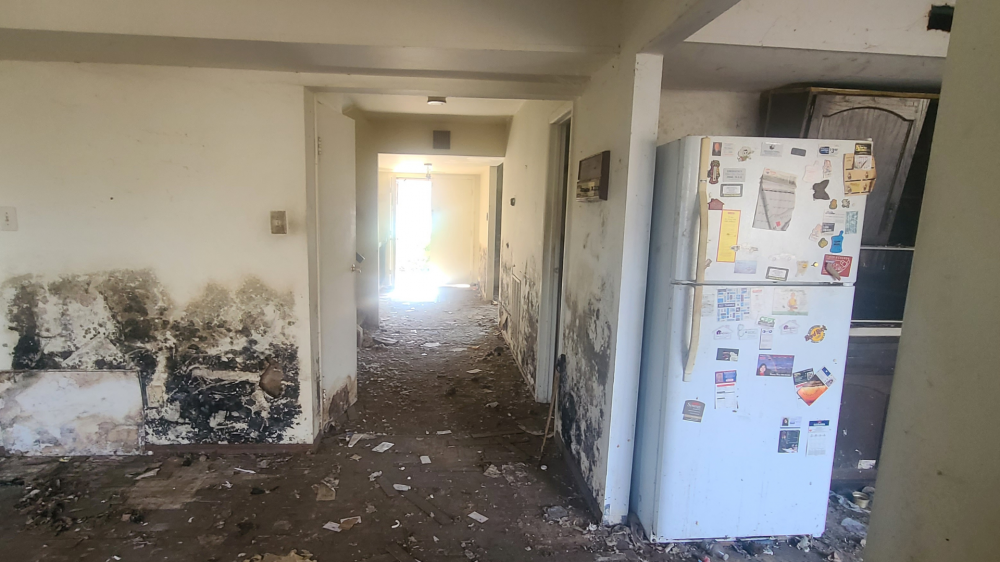 Ремонт кухни в Нью-Йорке в Нью-Йорке - Ref: 5656 фото 10