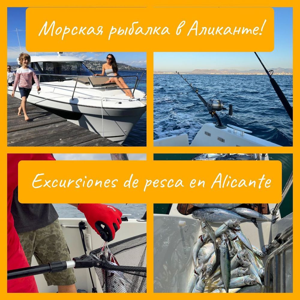 Морская рыбалка в Аликанте - Ref: 6075 фото 1