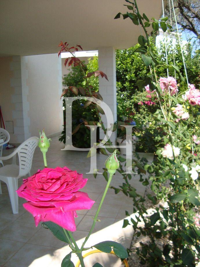 House / Cottage, Montenegro, Tivat C., Krasici, 380 000 € photo 13