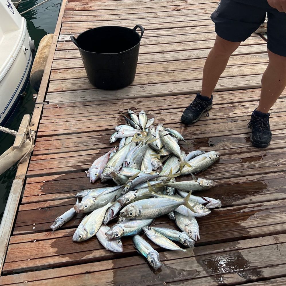 Рыбалка в Коста Бланка в Аликанте - 100€ - Ref: 6175 фото 2