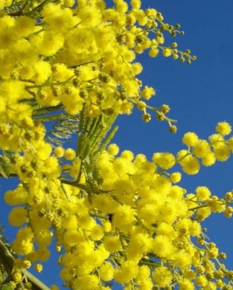 Выходные на яхте в Барселоне в Барселоне - Ref: 6181 фото 7