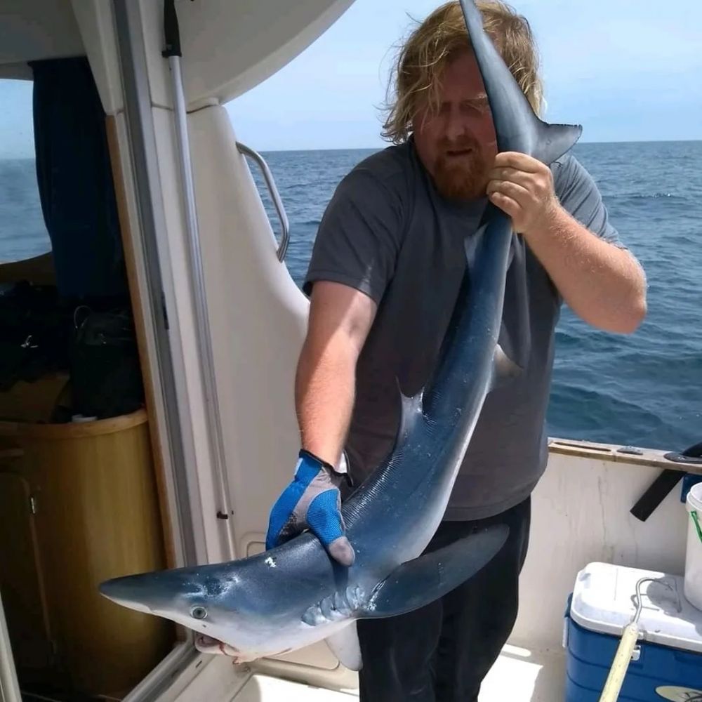 Рыбалка на акул в Барселоне - Ref: 6304 фото 1