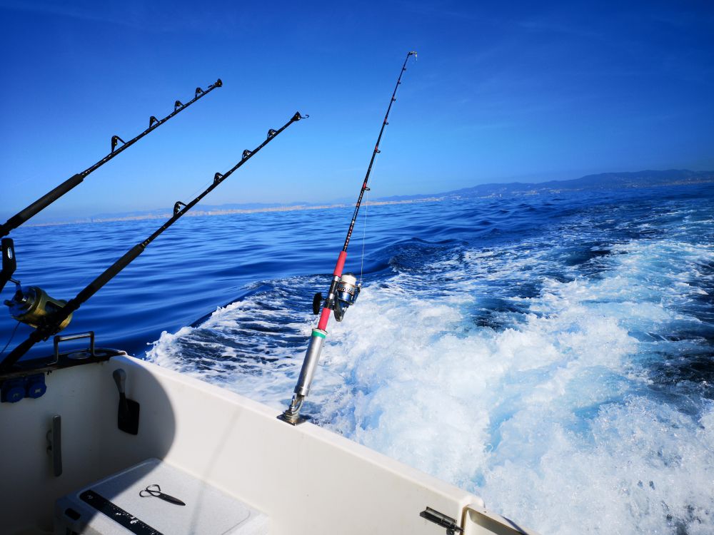 Рыбалка на акул в Барселоне - Ref: 6304 фото 7