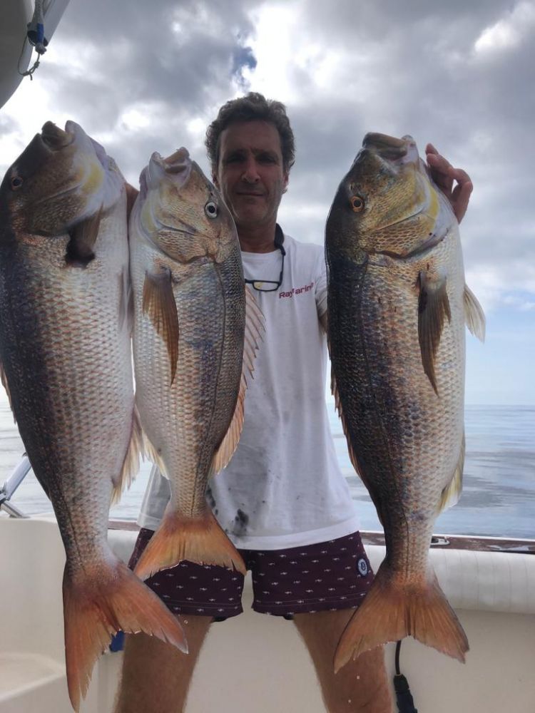 Профессиональная рыбалка на большую рыбу в Барселоне - Ref: 6305 фото 15