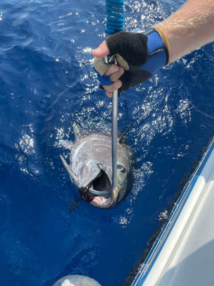 Профессиональная рыбалка на большую рыбу в Барселоне - Ref: 6305 фото 2