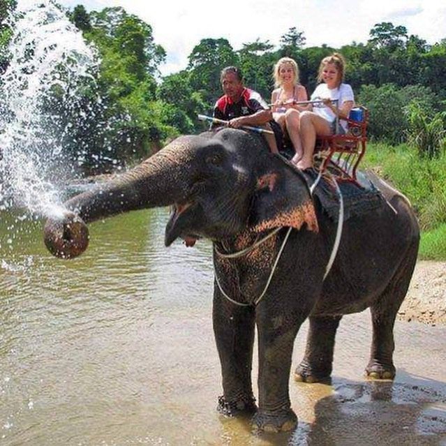 Туры на Као Лак на Пхукете - Ref: 6688 фото 2