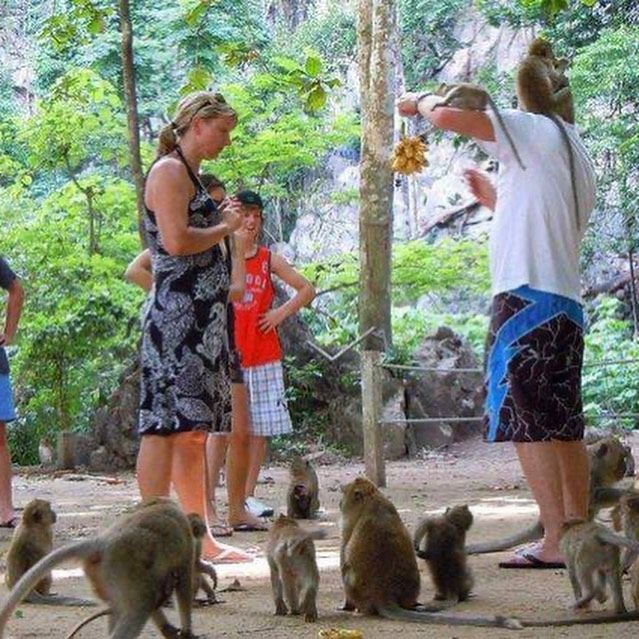 Туры на Као Лак на Пхукете - Ref: 6688 фото 3