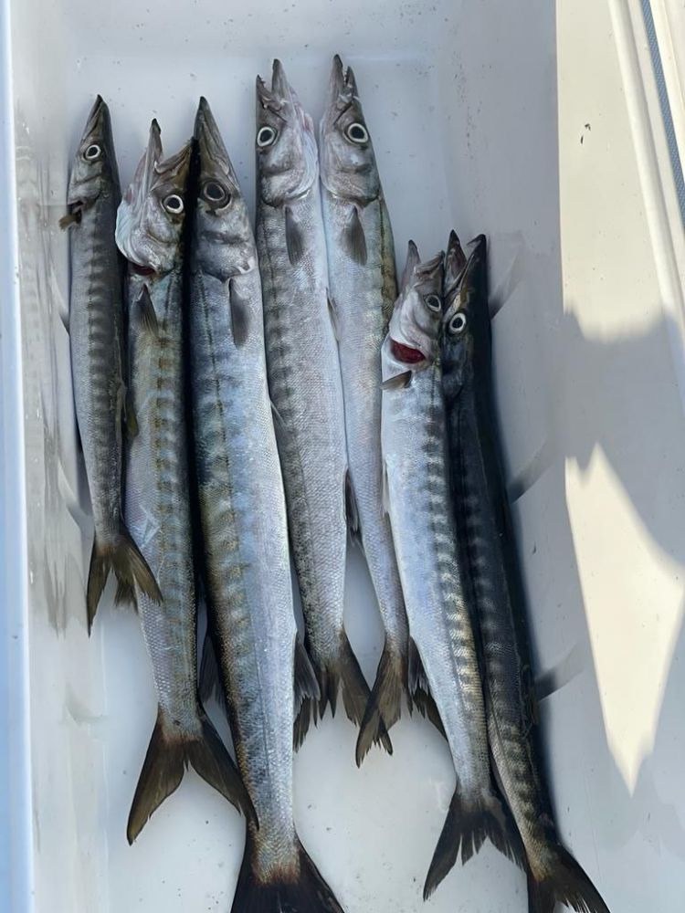 Морская рыбалка ловля на тунца в Барселоне - Ref: 6813 фото 1