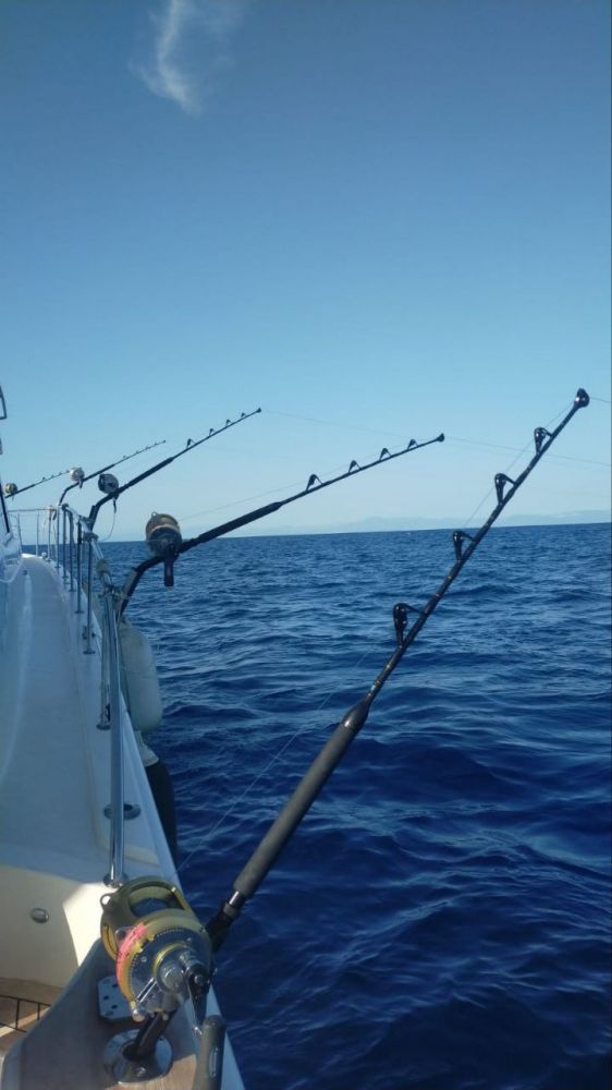 Морская рыбалка ловля на тунца в Барселоне - Ref: 6813 фото 7