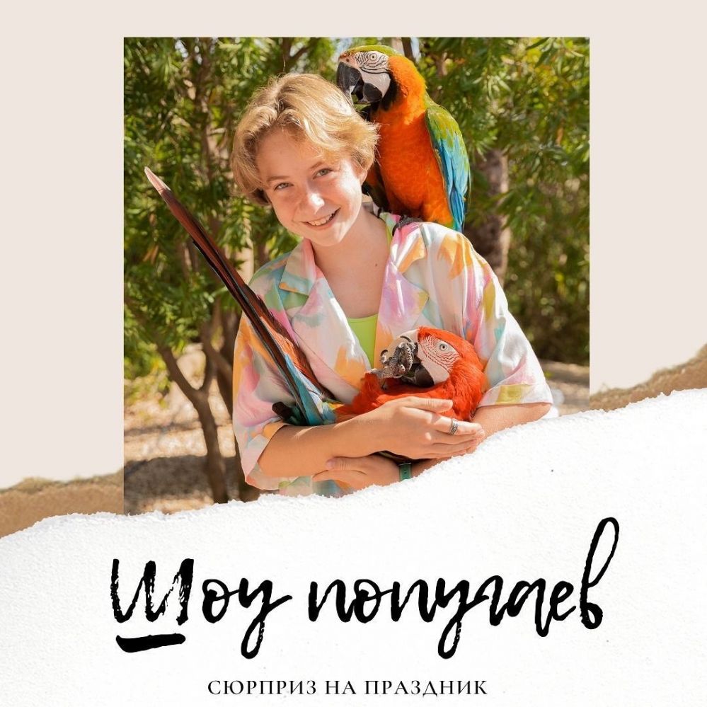 Попугаи на праздник в Валенсии - Ref: 6854 фото 1