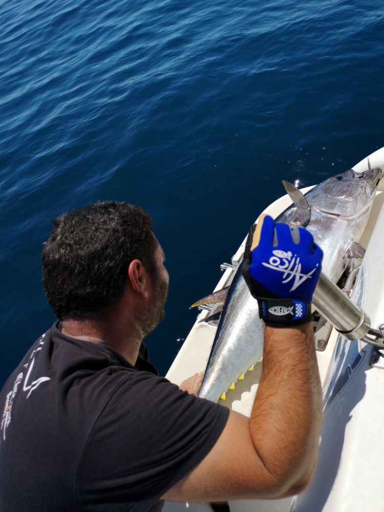 Отдых и рыбалка в Барселоне - Ref: 6920 фото 3