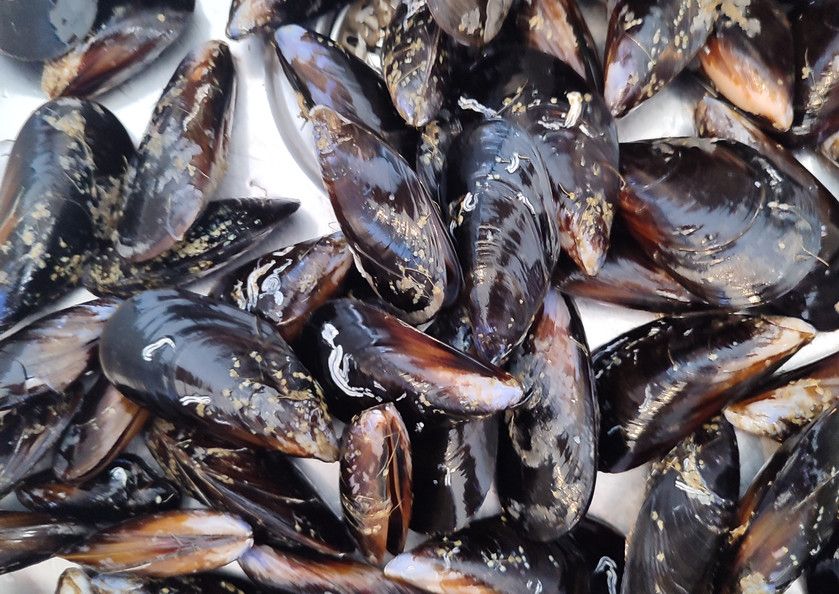 Корпоративный кейтеринг в Аликанте - Ref: 6922 фото 13