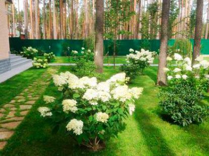 Услуги ландшафтного дизайнера в Барселоне - Ref: 3 фото 71