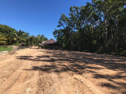 Дом / Таунхаус, Доминиканская республика, регион Самана, Лас Терренас, 330 000 $ фото 2