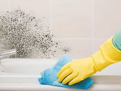 Usuwanie pleśni w Dubaju - Ref: 1084 zdjęcia 4