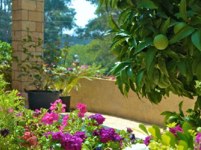 Сдается вилла 100 метров от пляжа на Корфу на Корфу - 195€ - Ref: 4671 фото 9