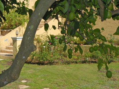 Сдается вилла 100 метров от пляжа на Корфу на Корфу - 195€ - Ref: 4671 фото 14